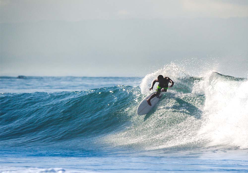 chickens-nusa-dua-spot-surf-bali